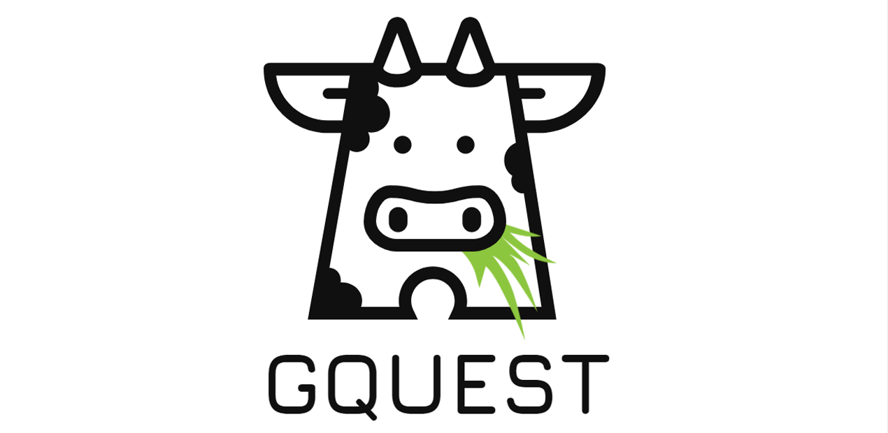 gquest.info